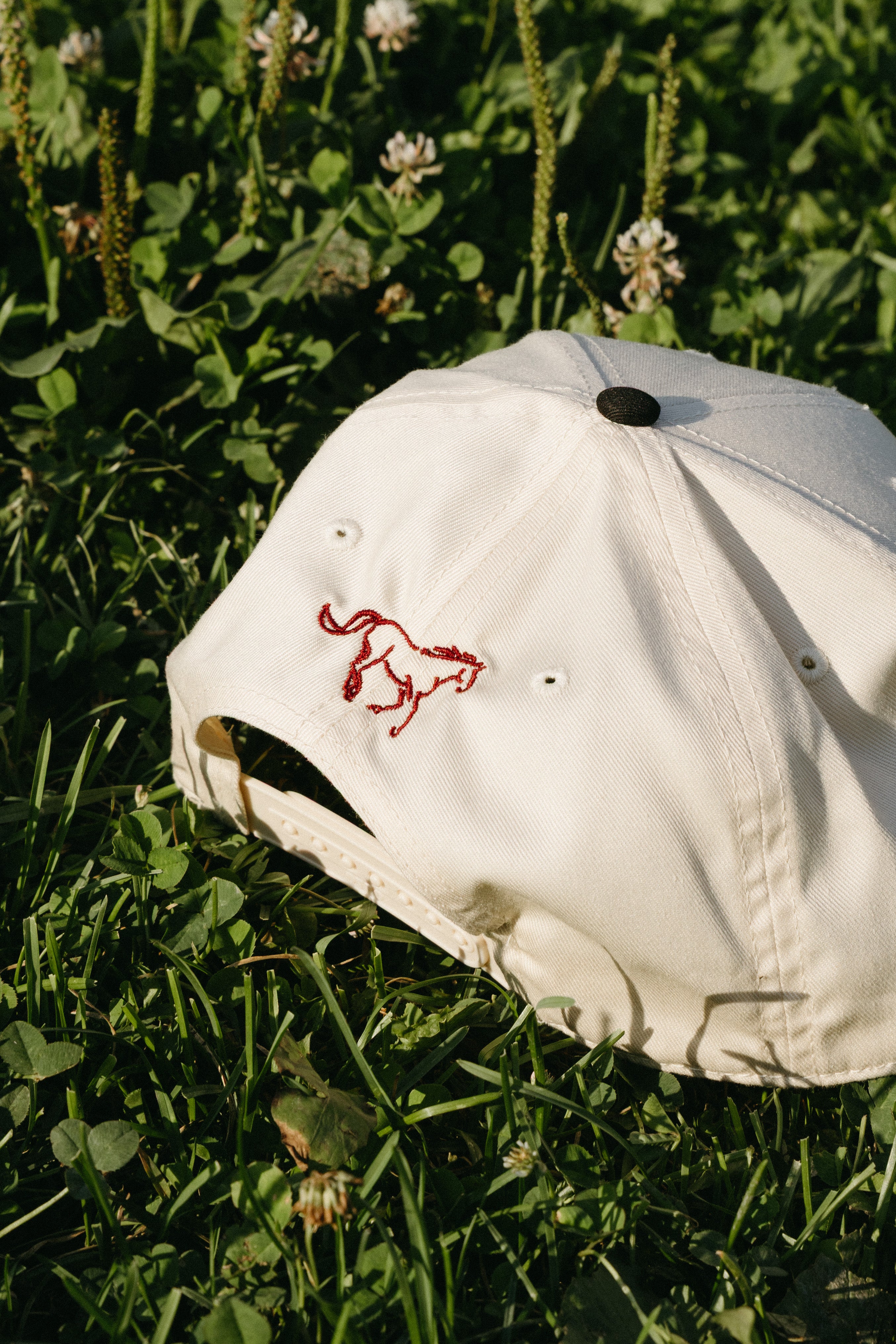 Two Tone Hat
