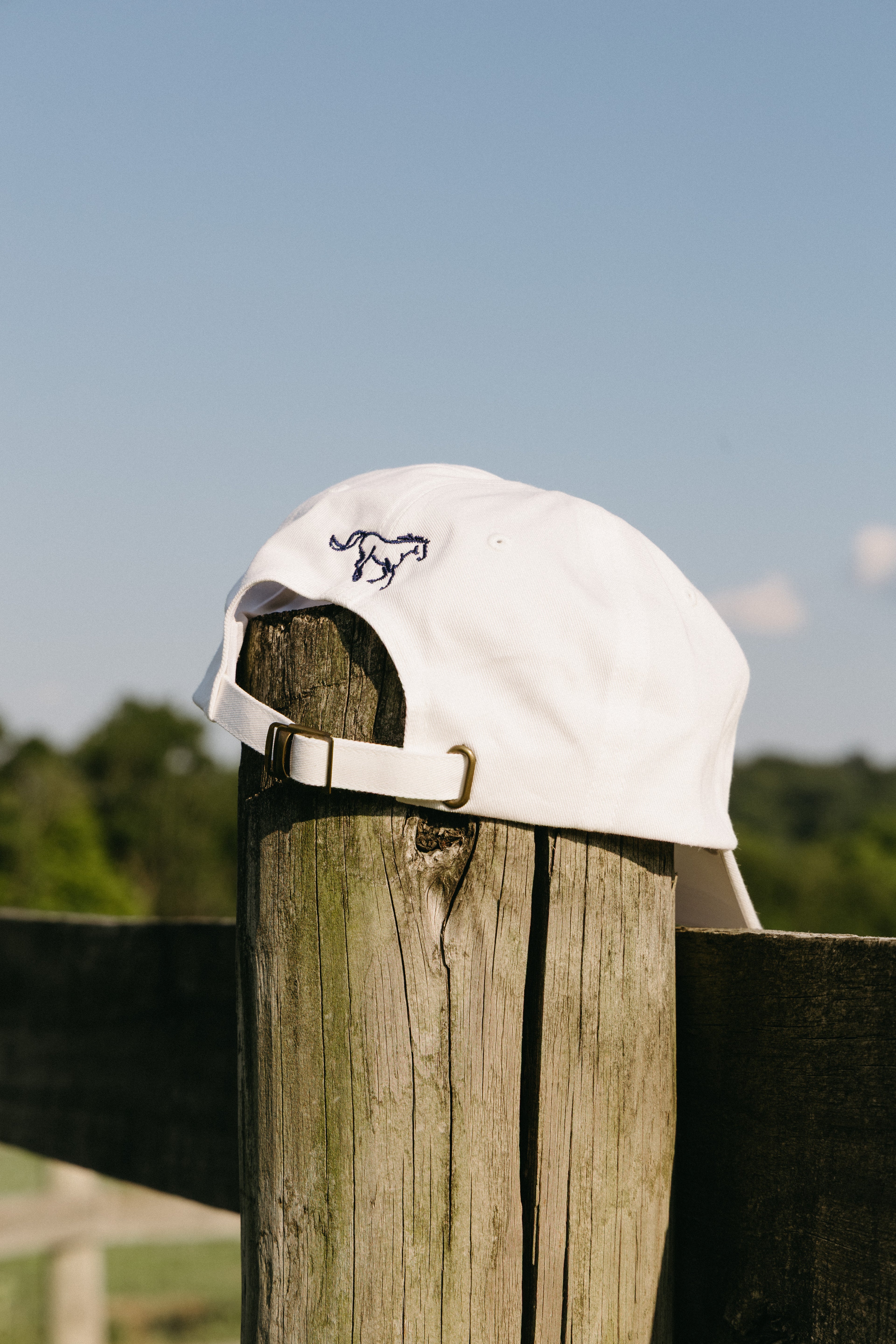 Statement Hat - "Professional Amateur"
