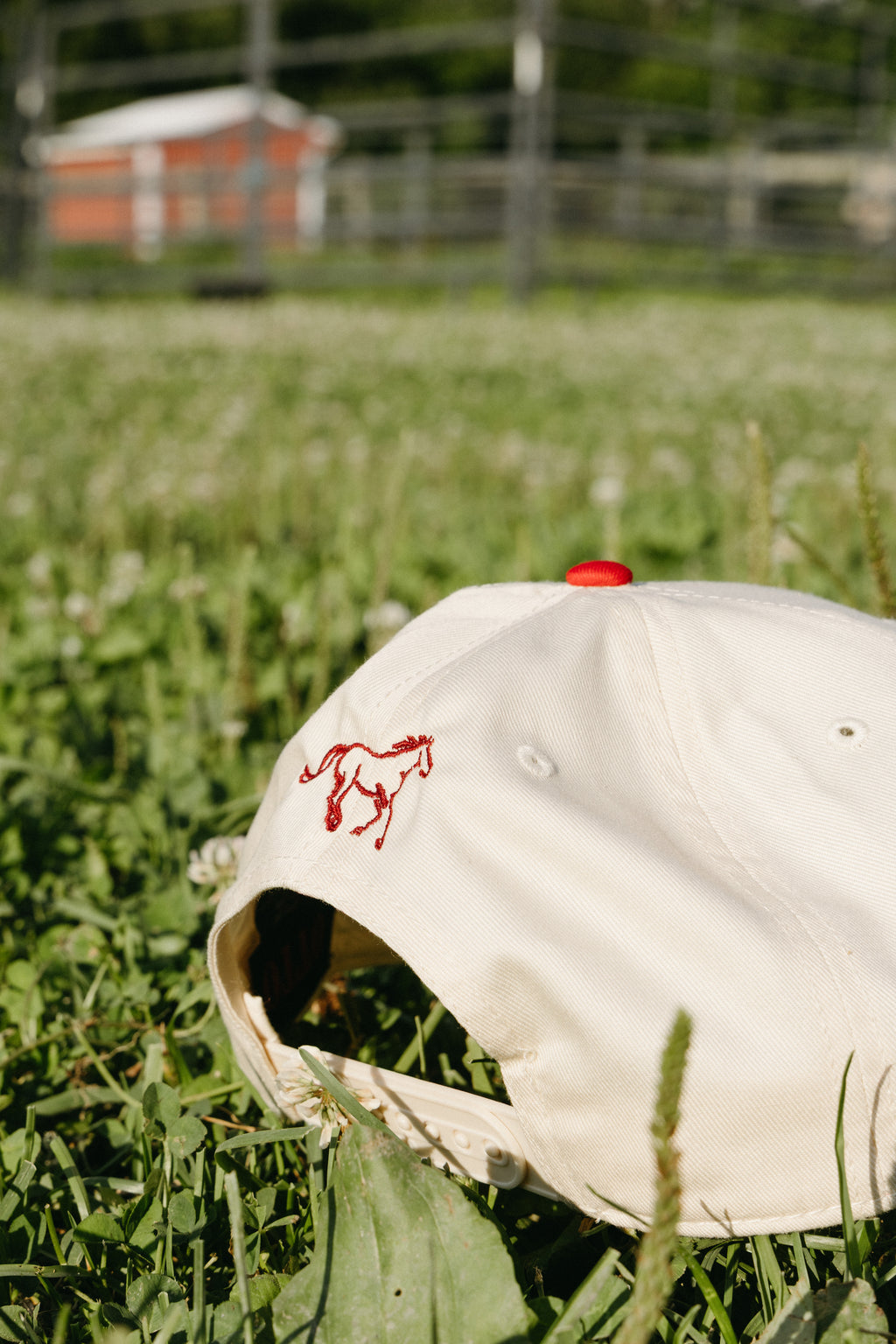 Two Tone Hat