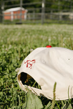 Two Tone Hat
