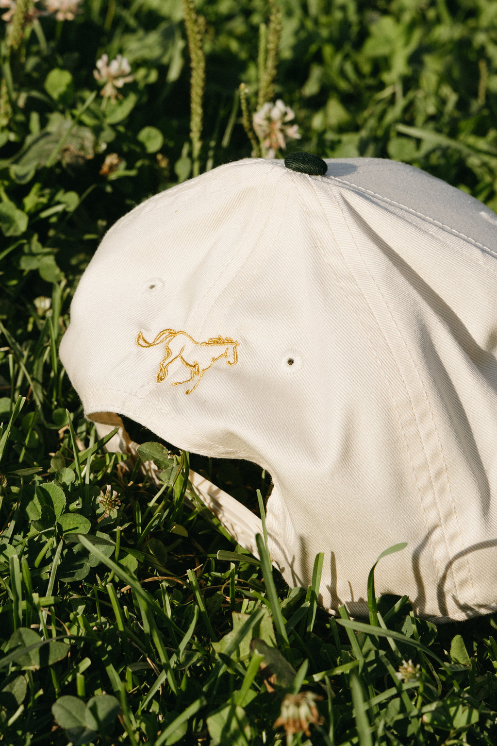 Two Tone Hat